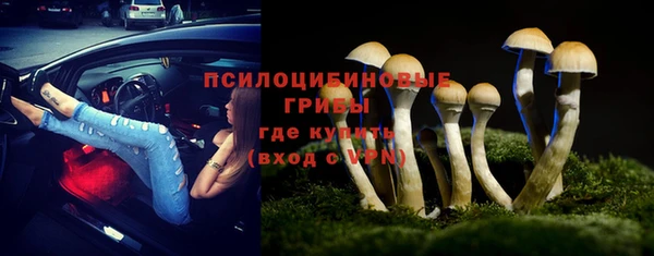 сатива Белоозёрский