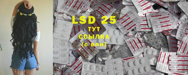 spice Богданович
