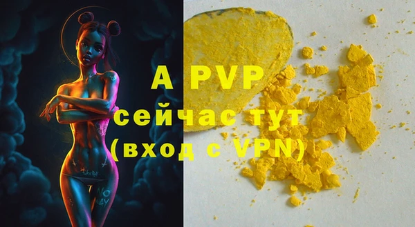 mdpv Белокуриха
