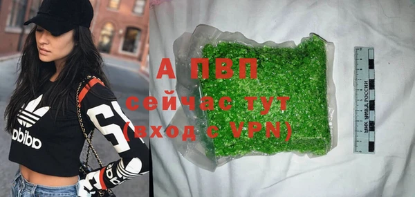 сатива Белоозёрский