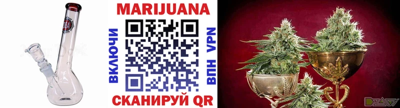 MEGA как зайти Будённовск Бошки Шишки AK-47 купить наркоту